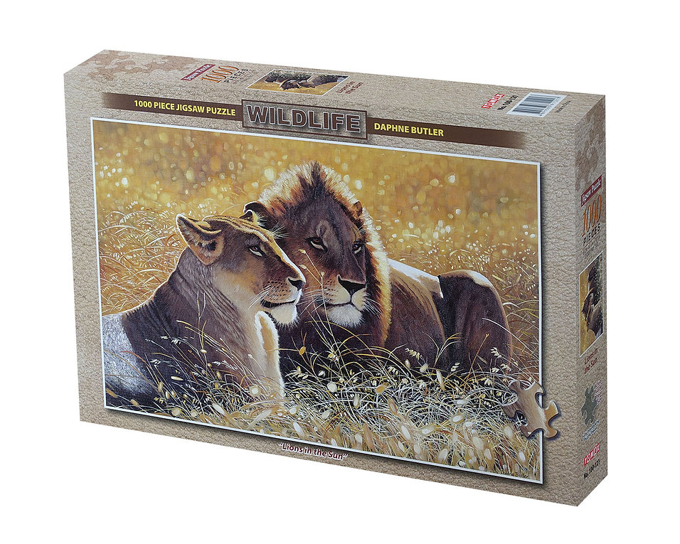 Lions in the Sun